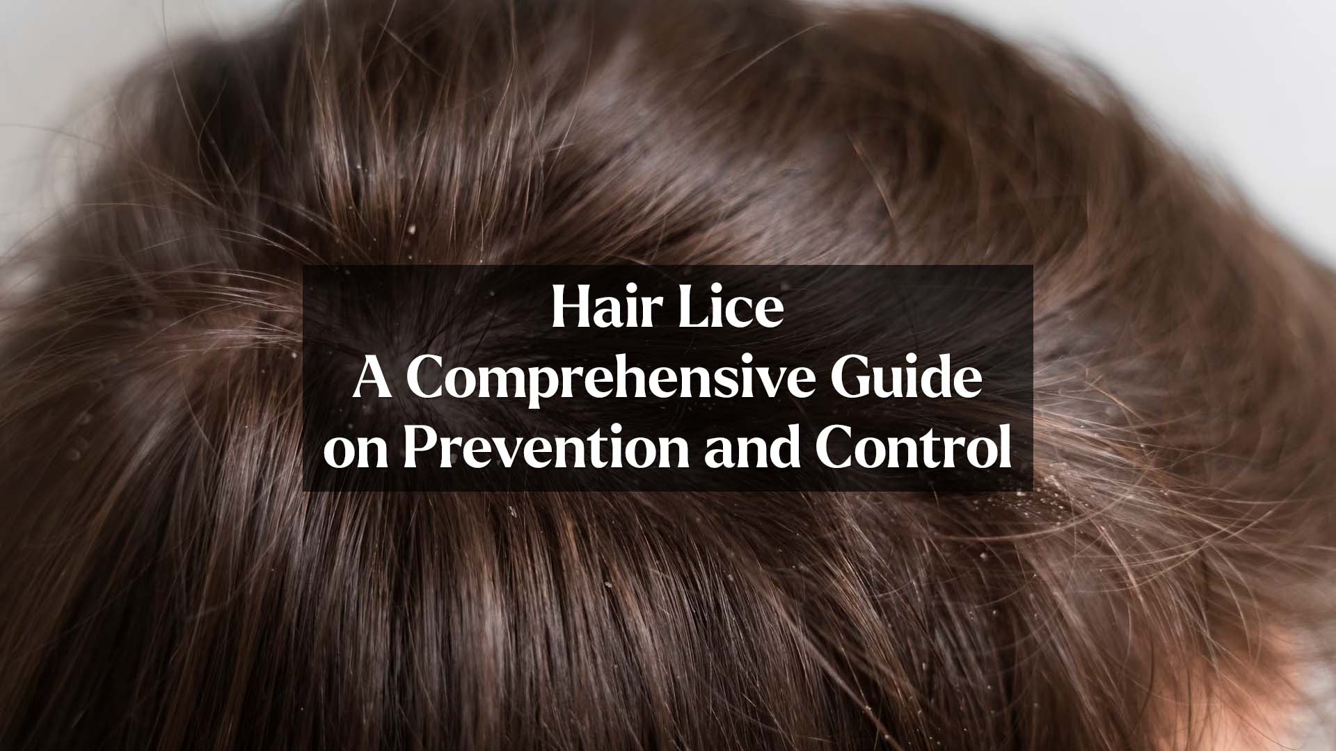 hair lice control tips