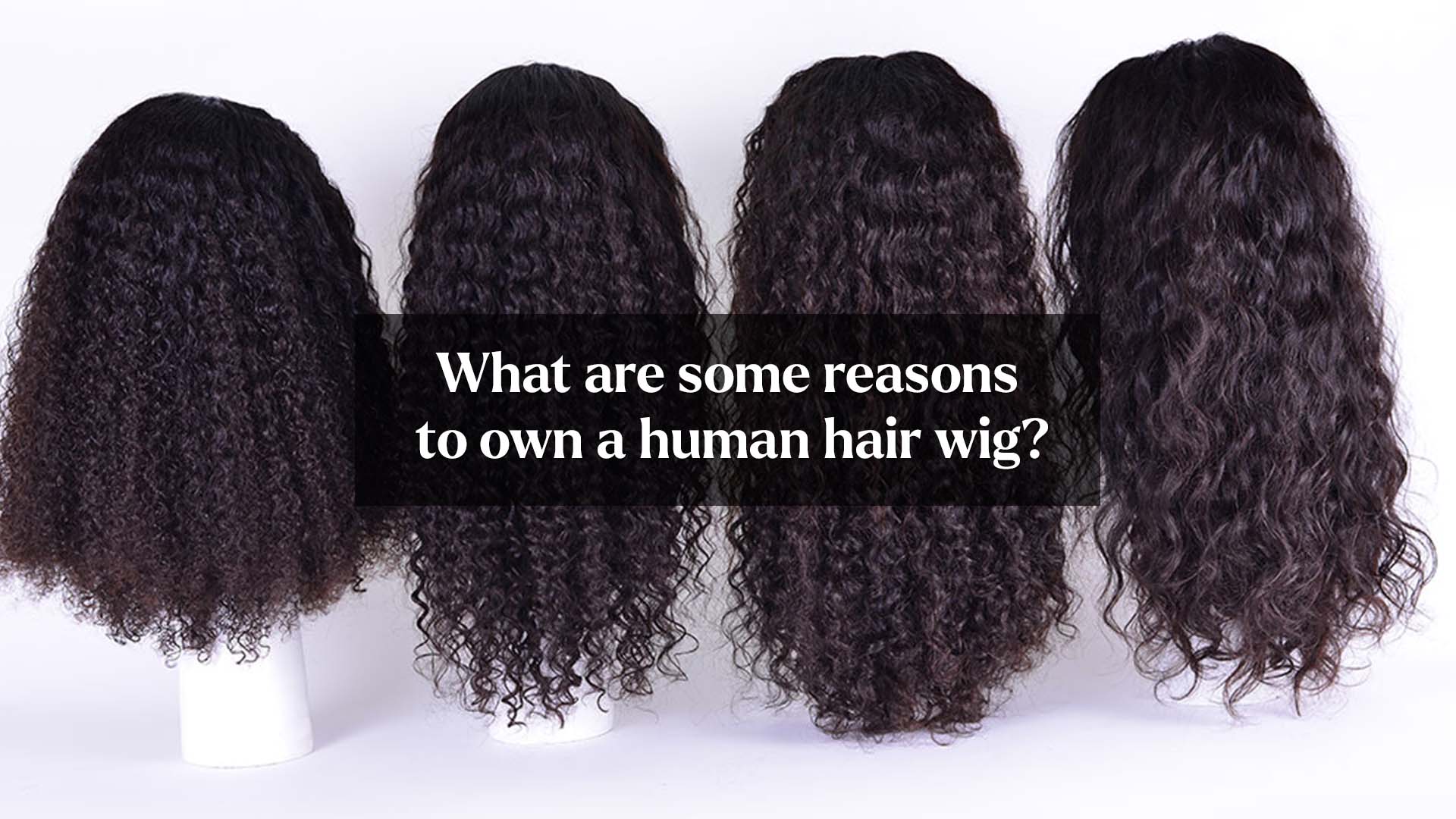 What are some reasons to own a human hair wig?